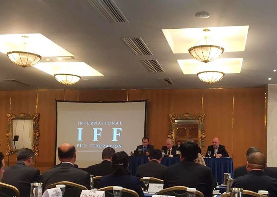 IFF Genel Kurul Toplantısı 21.10.2016