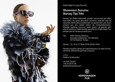 Showroom Sunumu Norveç Tipi Tilki