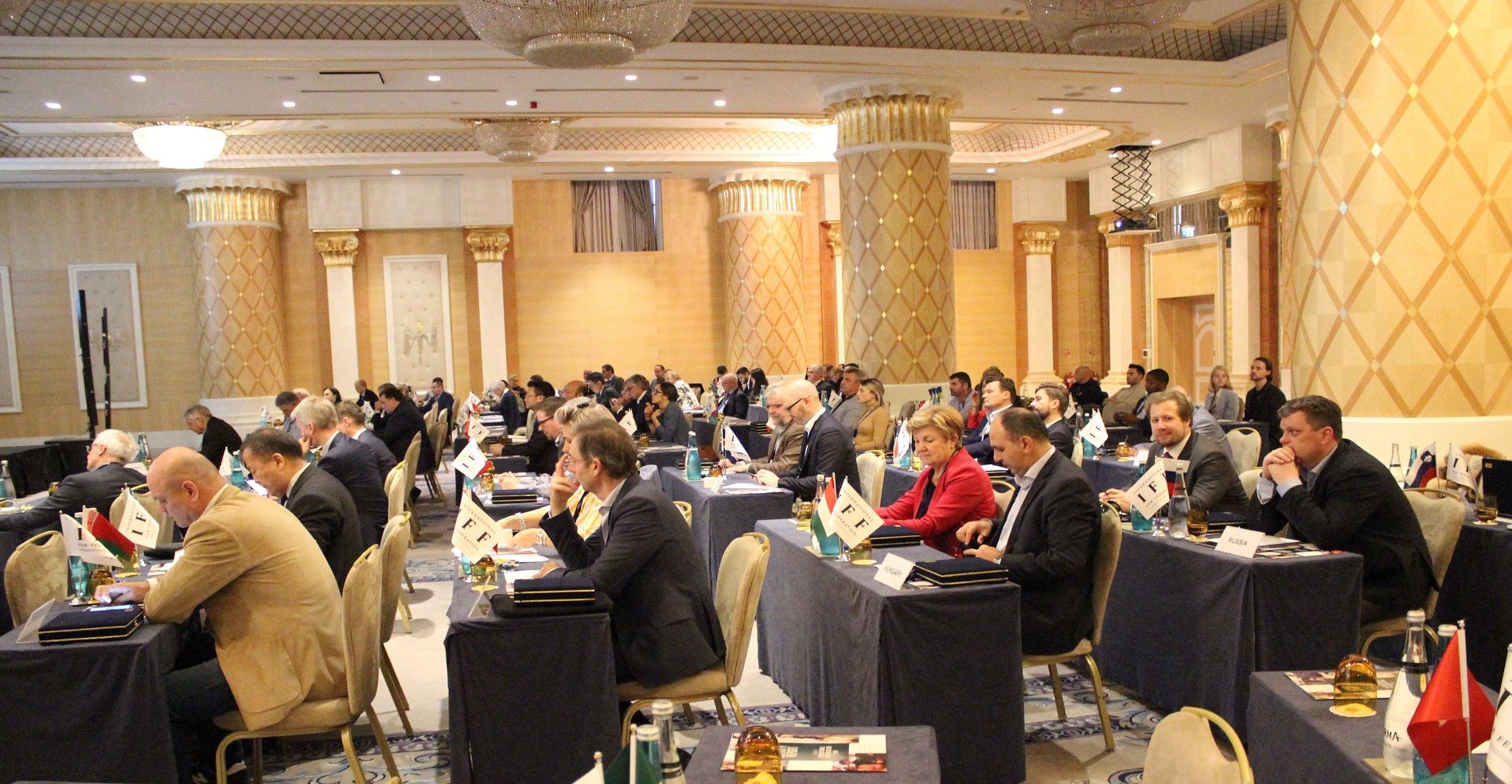 IFF AGM COUNCIL-2019 Türkiye'nin ev sahipliğinde İstanbul'da yapıldı.