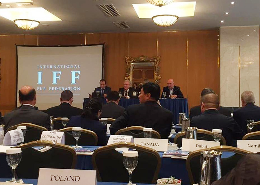 IFF Genel Kurul Toplantısı 21.10.2016